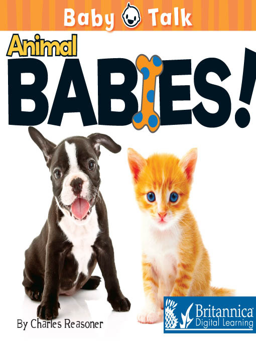 Cover image for Animal Babies!